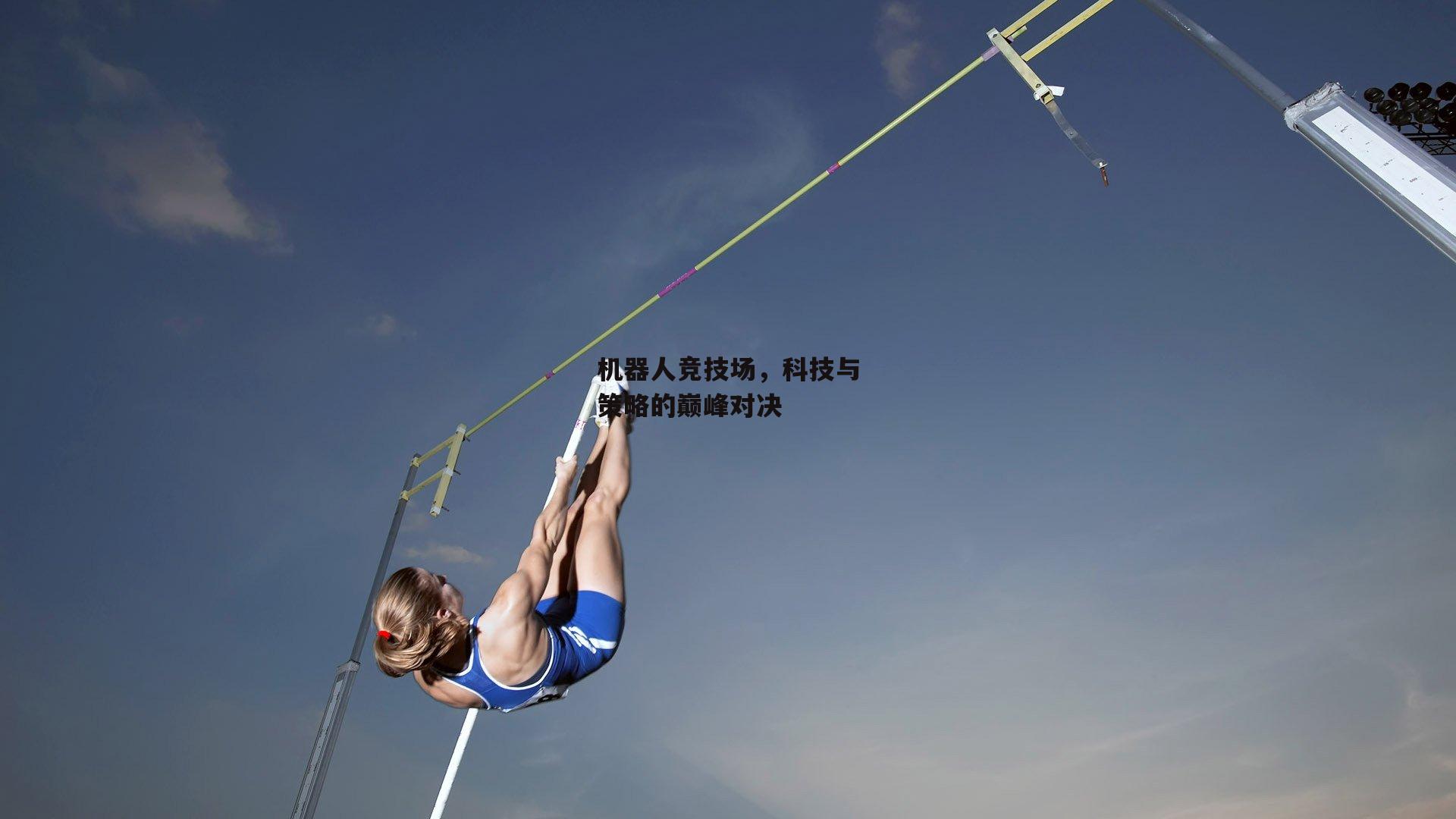 机器人竞技场,科技与策略的巅峰对决