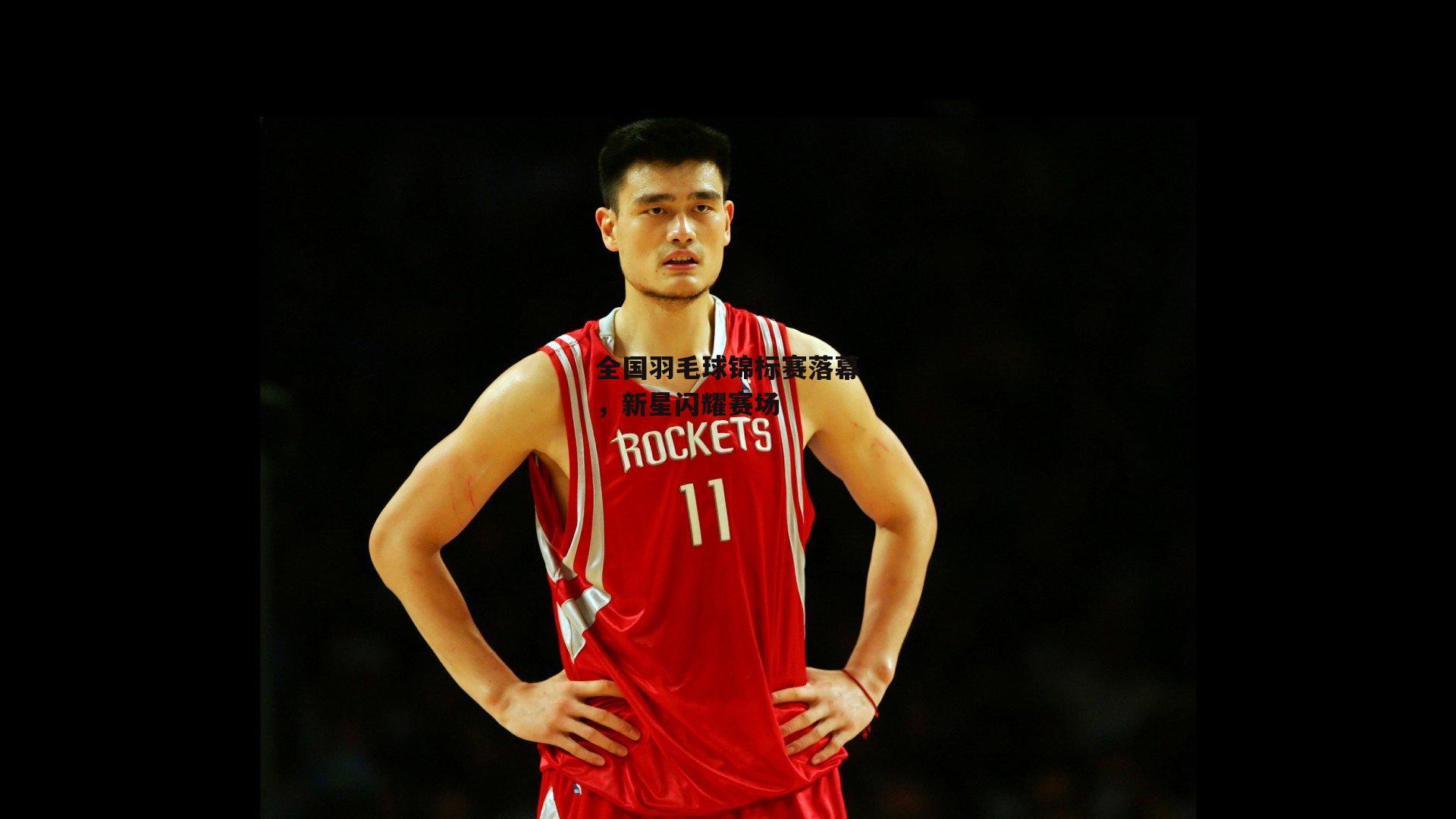 全国羽毛球锦标赛落幕,新星闪耀赛场